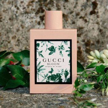 Gucci Bloom Acqua Di Fiori EDP 100 ML