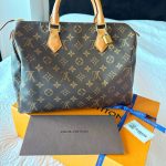 Louis Vuitton Speedy 30 Torebka