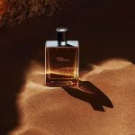 Terre d’Hermès EDT 100 ML