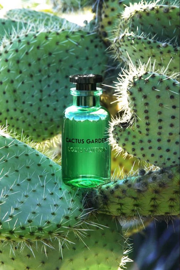 Louis Vuitton Cactus Garden EDP 100 ML